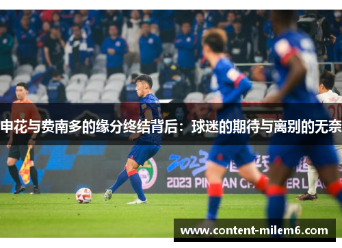 申花与费南多的缘分终结背后:球迷的期待与离别的无奈
