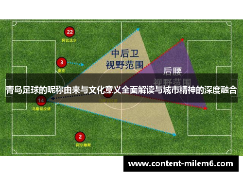 青岛足球的昵称由来与文化意义全面解读与城市精神的深度融合