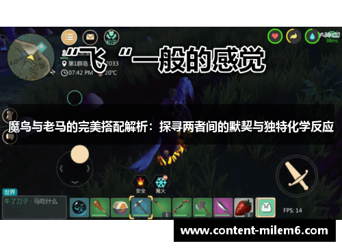 魔鸟与老马的完美搭配解析：探寻两者间的默契与独特化学反应