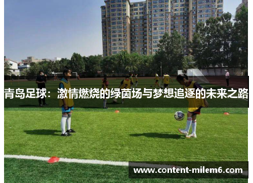 青岛足球:激情燃烧的绿茵场与梦想追逐的未来之路 青岛足球:激情燃烧的绿茵场与梦想追逐的未来之路