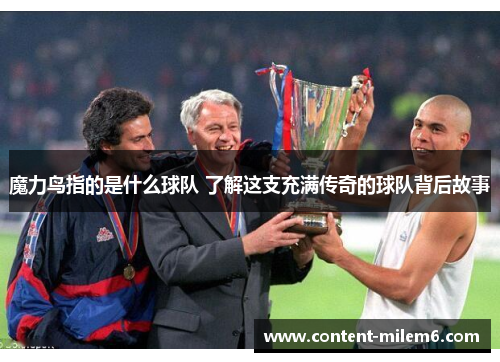 魔力鸟指的是什么球队 了解这支充满传奇的球队背后故事